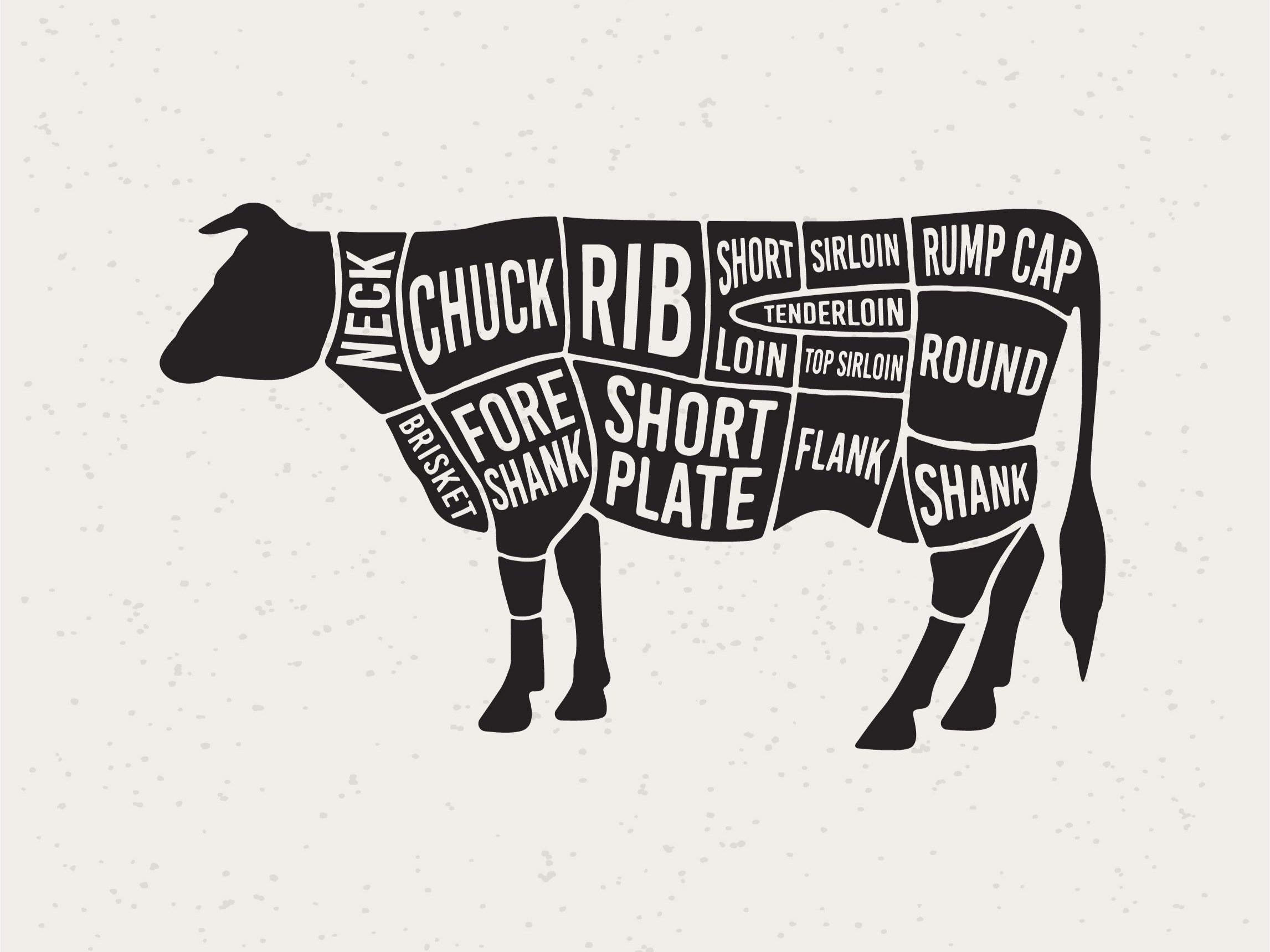 Illustration of a cow showcasing various beef cuts labeled with names such as Chuck, Rib, Brisket, and Tenderloin, highlighting the anatomy and meat options for culinary use.